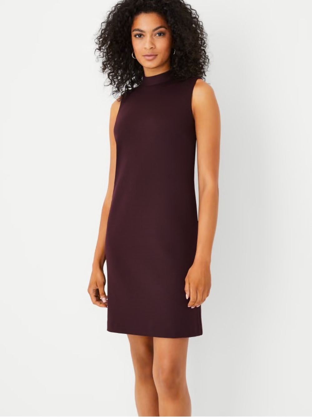 Ann Taylor The Mock Neck Shift Dress in Double Knit in Midnight Fig - Size 10